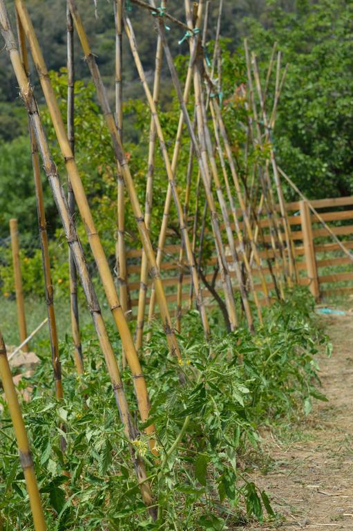 Casa Rural Ahoraya El Colmenar Zewnętrze zdjęcie
