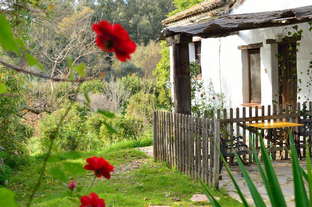 Casa Rural Ahoraya El Colmenar Zewnętrze zdjęcie