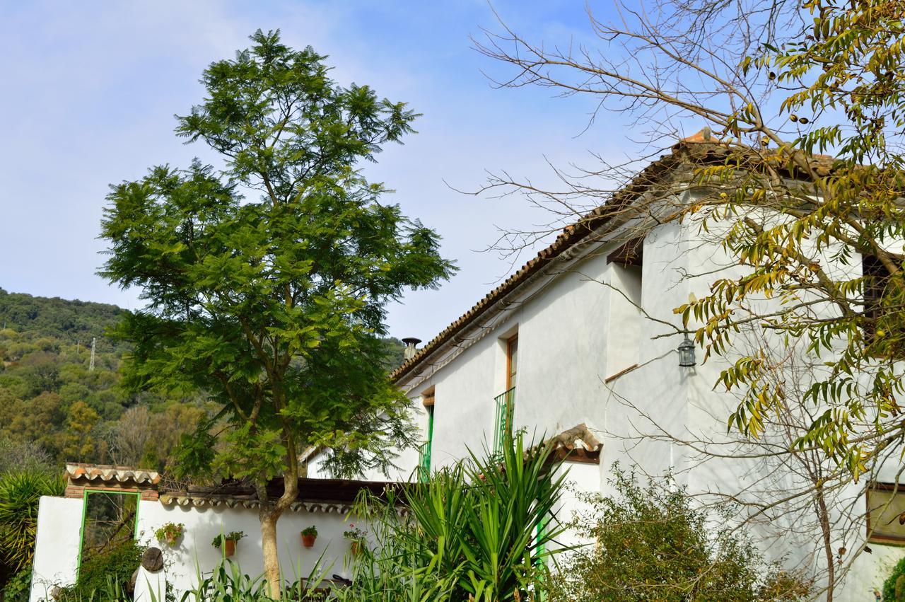 Casa Rural Ahoraya El Colmenar Zewnętrze zdjęcie